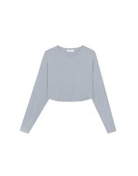Basic Crew Neck Knit Fitted Long Sleeve Crop Top