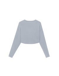 Basic Crew Neck Knit Fitted Long Sleeve Crop Top