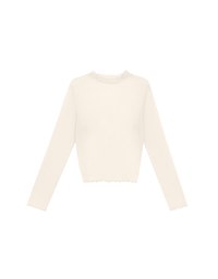 Glitter Sheer Mesh Long Sleeve Top with Lettuce Hem Details