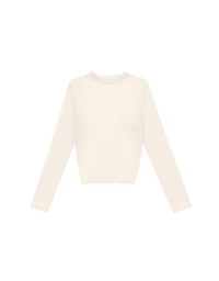 Glitter Sheer Mesh Long Sleeve Top with Lettuce Hem Details