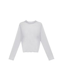 Glitter Sheer Mesh Long Sleeve Top with Lettuce Hem Details