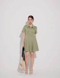 Polo Collar Flared Hem Mini Dress