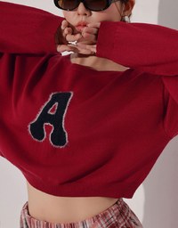Fuzzy Letter Embroidered Cropped Knit Sweater