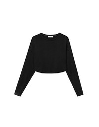 Basic Crew Neck Knit Fitted Long Sleeve Crop Top