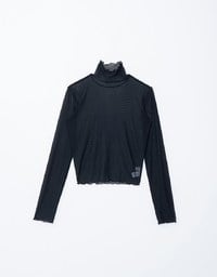 Turtleneck Sheer Ruffle Trim Top - Plain / Polka Dot Design