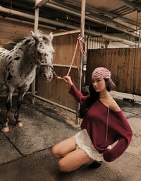 Sheer Round Neck Long Sleeve Oversized Knit Top