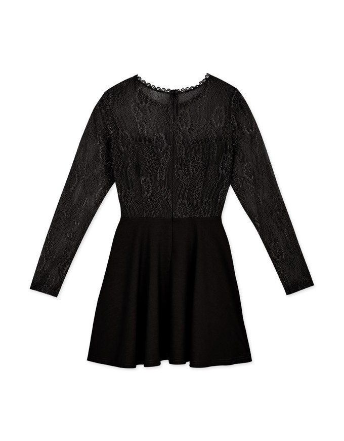 Exquisite Lace Spliced Flare Mini Dress