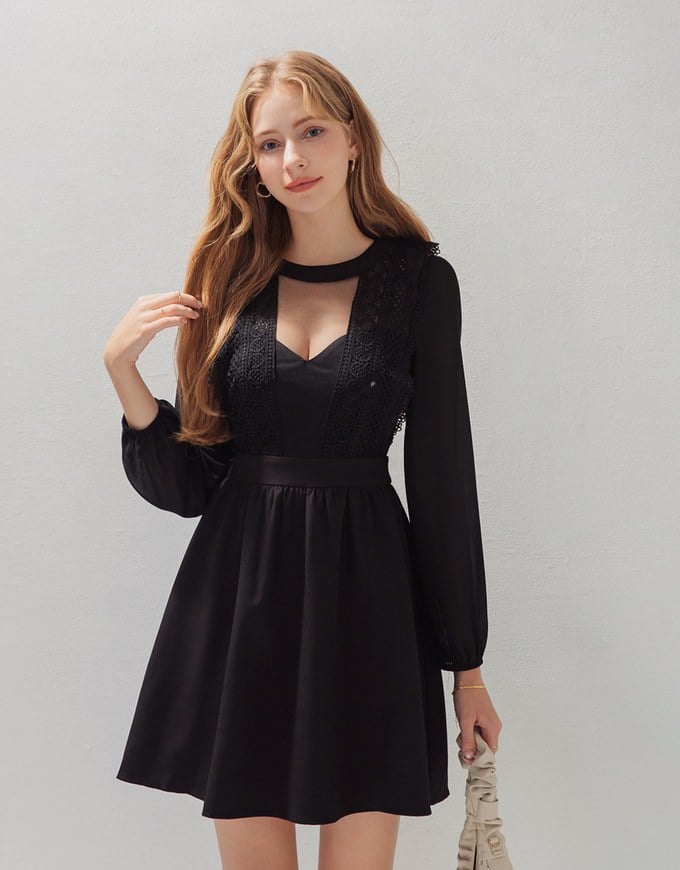 Delicate Lace Trim Splice Sheer Mini Dress