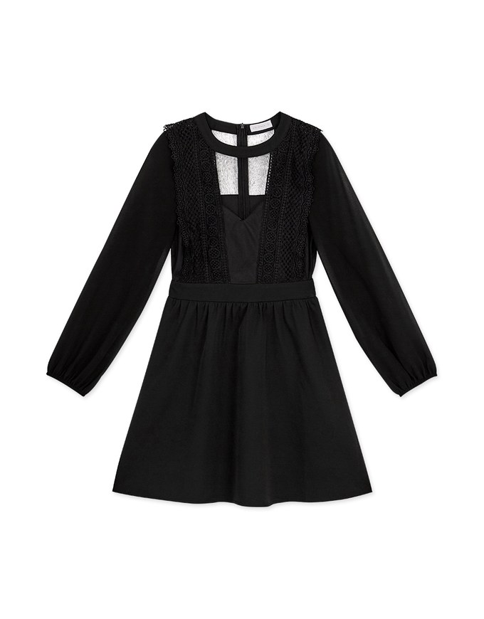 Delicate Lace Trim Splice Sheer Mini Dress