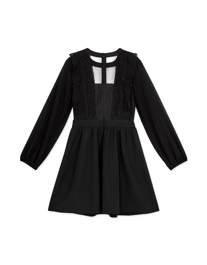 Delicate Lace Trim Splice Sheer Mini Dress