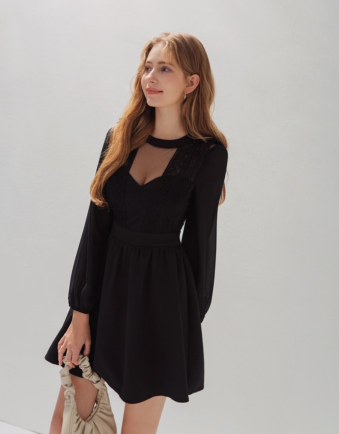 Delicate Lace Trim Splice Sheer Mini Dress