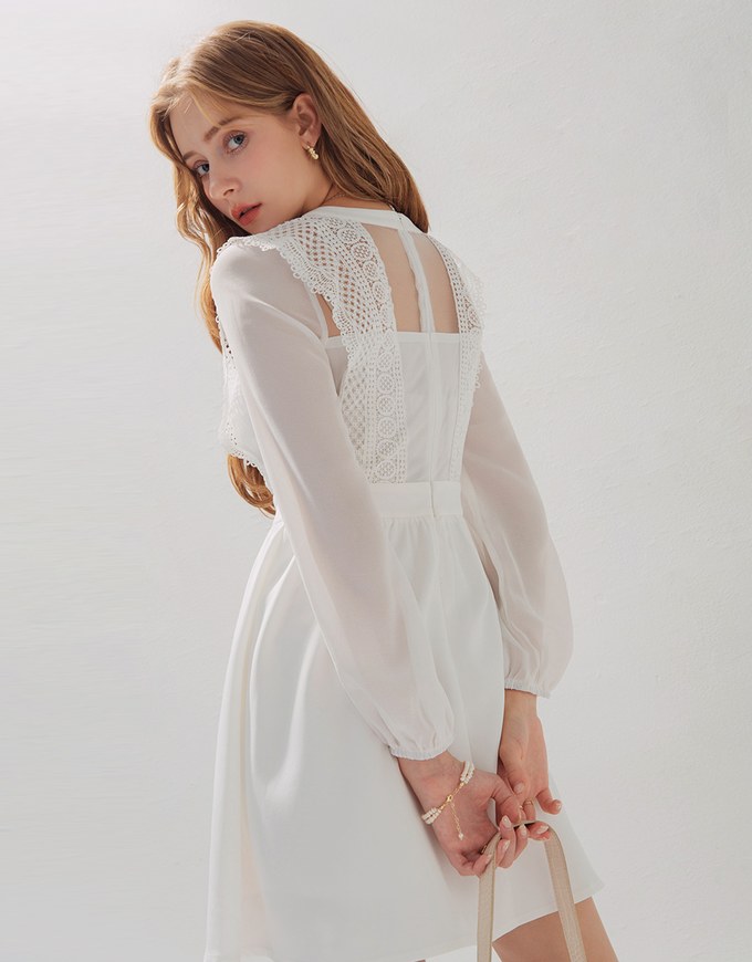 Delicate Lace Trim Splice Sheer Mini Dress