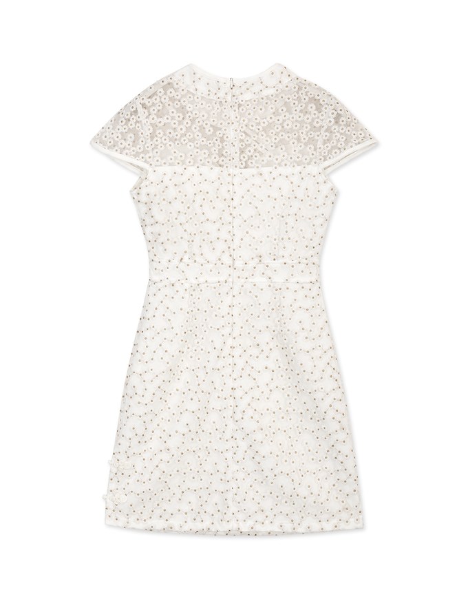 Qipao DRESS With Side Slit Lace Mini Exclusive Design Cheongsam