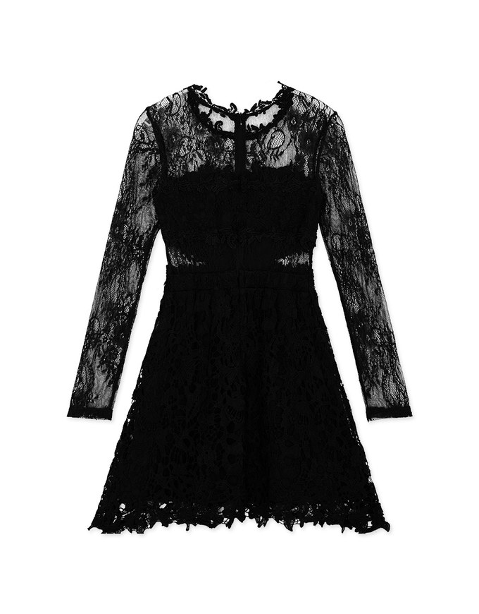 Semi- Transperent Lace Mini Dress