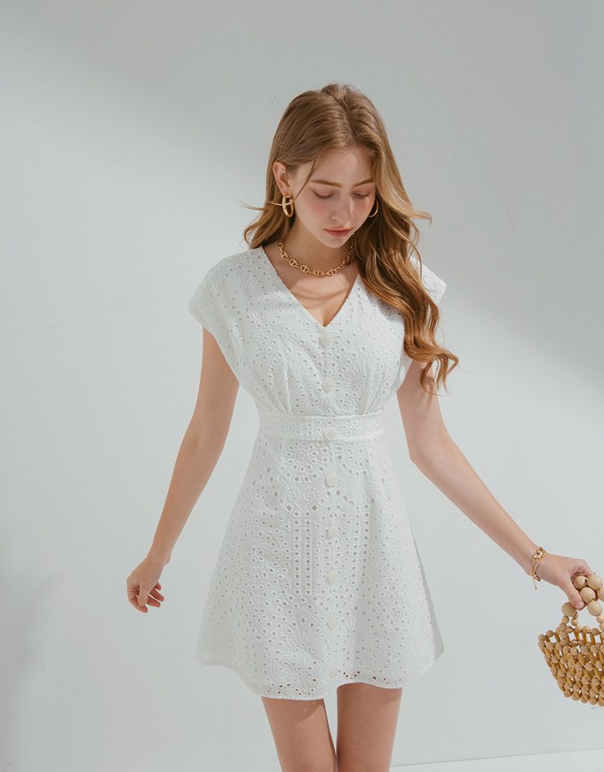 Embroidered Lace Sleeveless Mini Dress