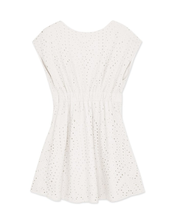 Embroidered Lace Sleeveless Mini Dress
