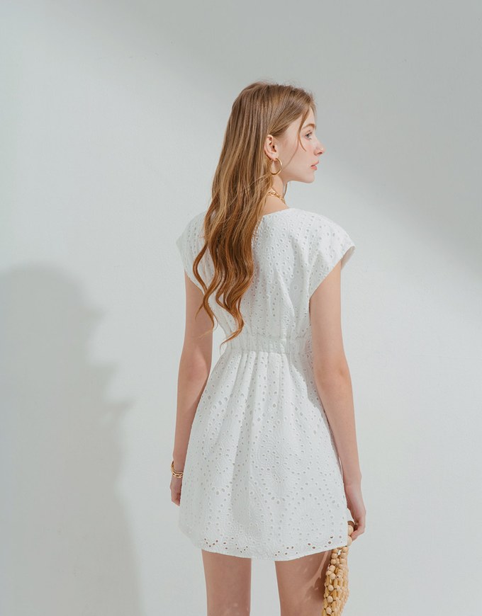 Embroidered Lace Sleeveless Mini Dress