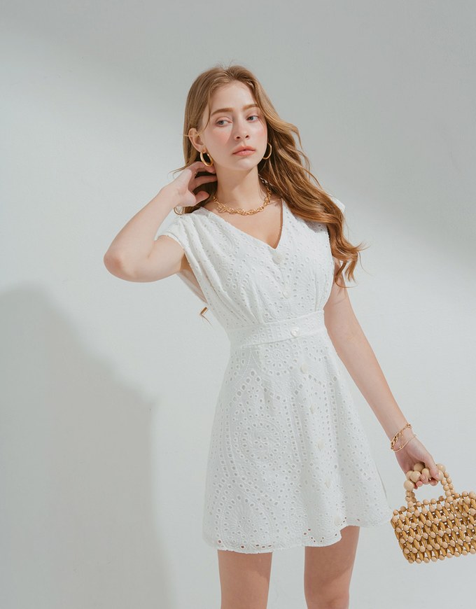 Embroidered Lace Sleeveless Mini Dress