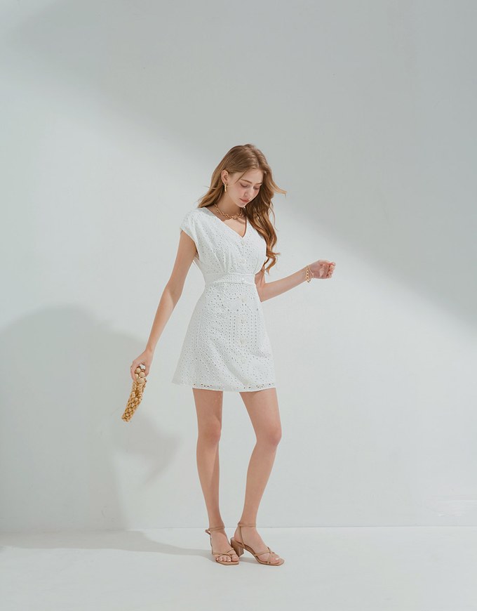 Embroidered Lace Sleeveless Mini Dress