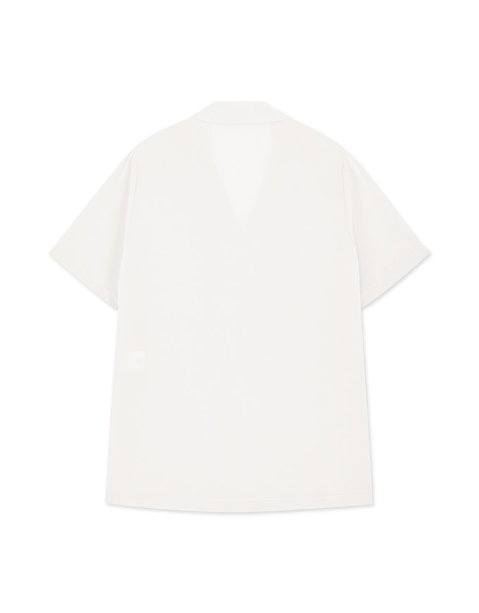 Smart Casual Short Sleeve Chiffon Blouse Shirt