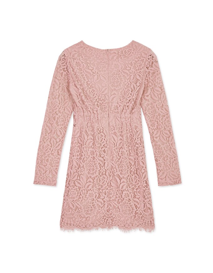 V-Neck Lace Skin-Translucent Mini Dress