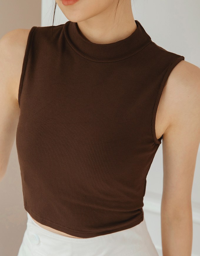 Turtleneck Sleeveless Crop Top