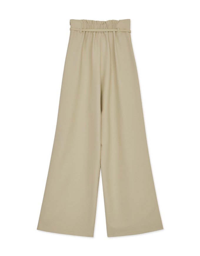 High Waisted Pleated Belted Wide Pants