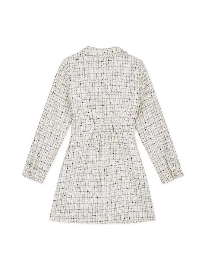 Petite Check Pattern Button-Down Shirt Mini Dress