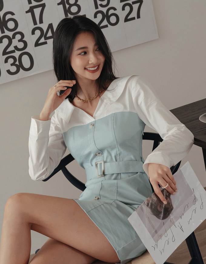 Button-Down Blouse Shirt s Mini Dress (With Belt)