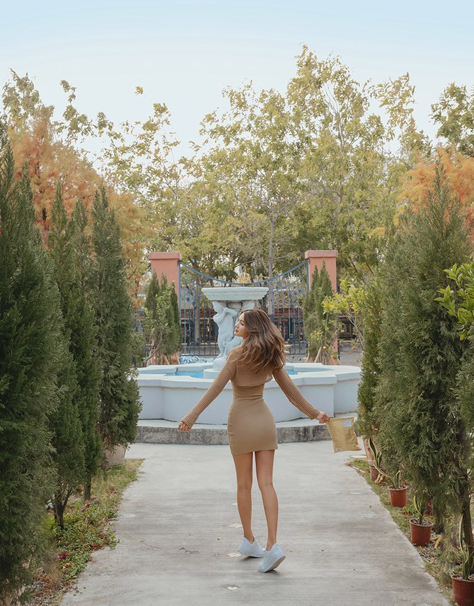 Two-Piece Sheer Knit Fitted Dress