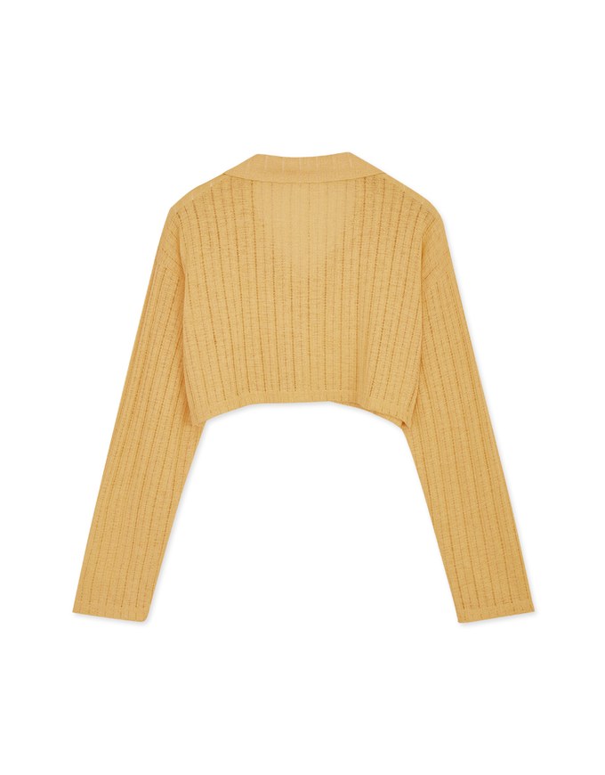 Lapel Sheer Cropped Top