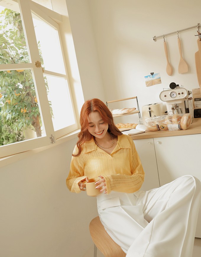 Lapel Sheer Cropped Top
