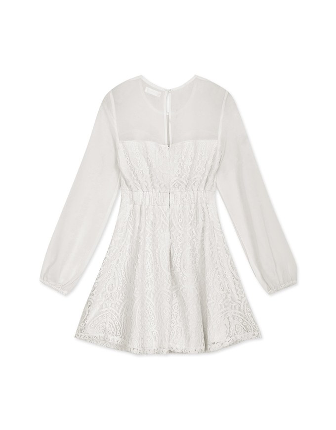 Sweetheart Translucent Sleeve Lace Mini Dress