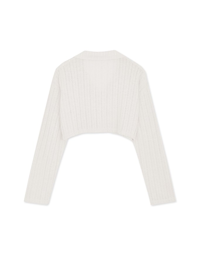 Lapel Sheer Cropped Top
