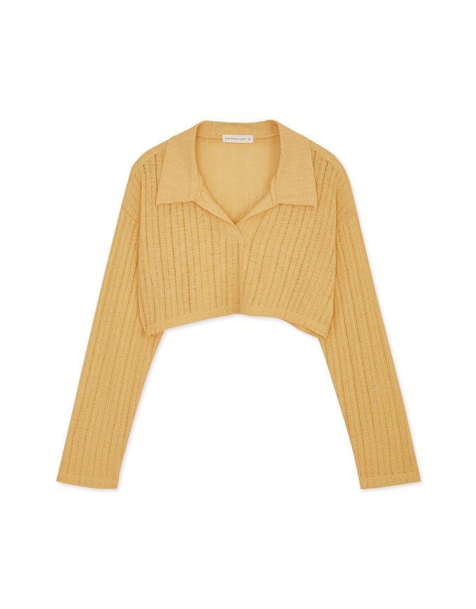 Lapel Sheer Cropped Top