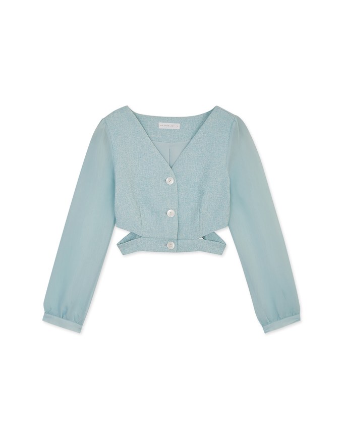 Sheer Puff Sleeve Cut Out Crop Top