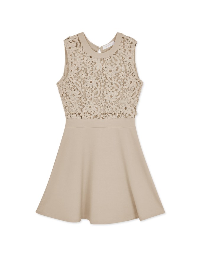 Hollow Lace Mini Dress