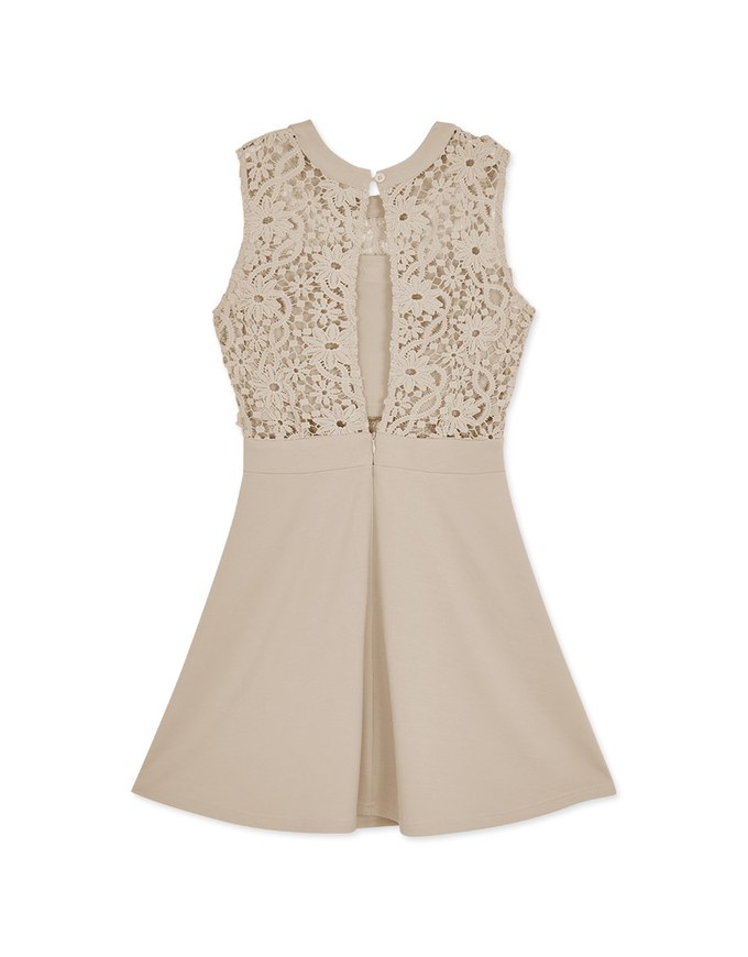 Hollow Lace Mini Dress