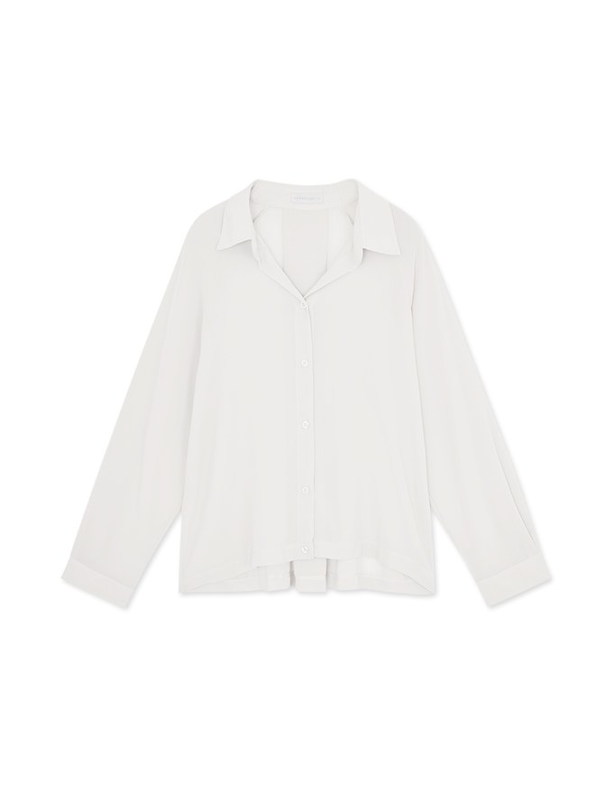 Sheer Oversized Blouse Shirt