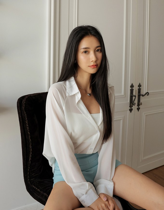 Sheer Oversized Blouse Shirt