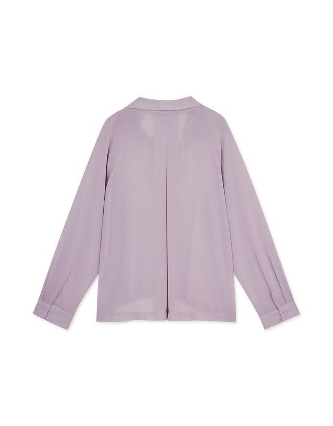 Sheer Oversized Blouse Shirt