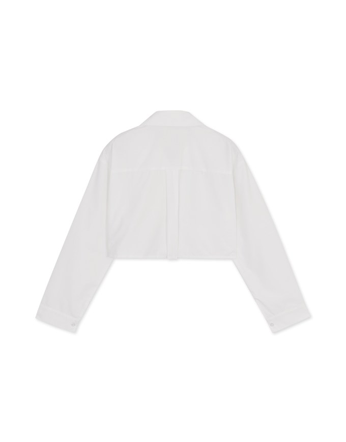 Simple Crop Long Sleeve Blouse Shirt