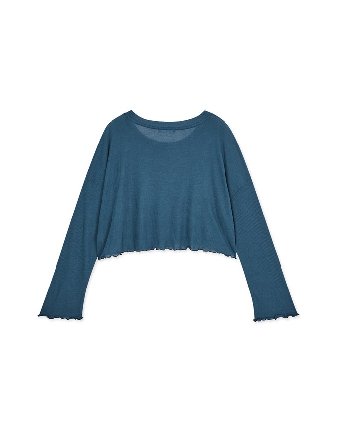 Lettuce Hem Sheer Long Sleeve Top