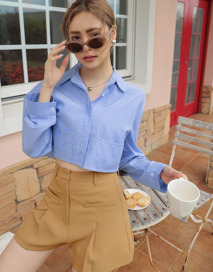 Simple Crop Long Sleeve Blouse Shirt