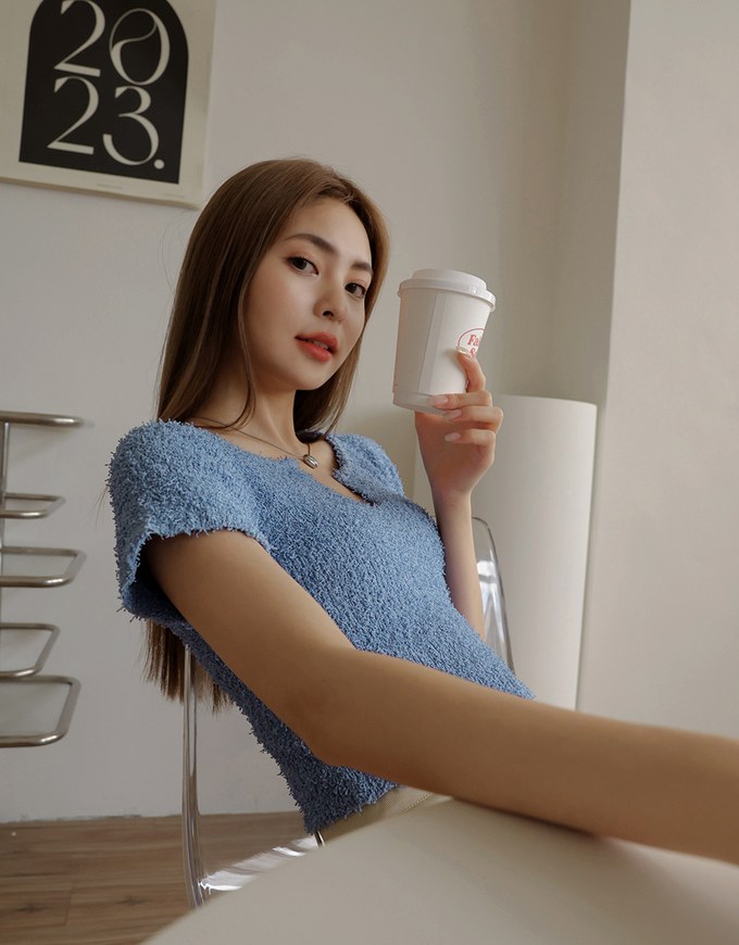 Wool V Neck Short Sleeve Top