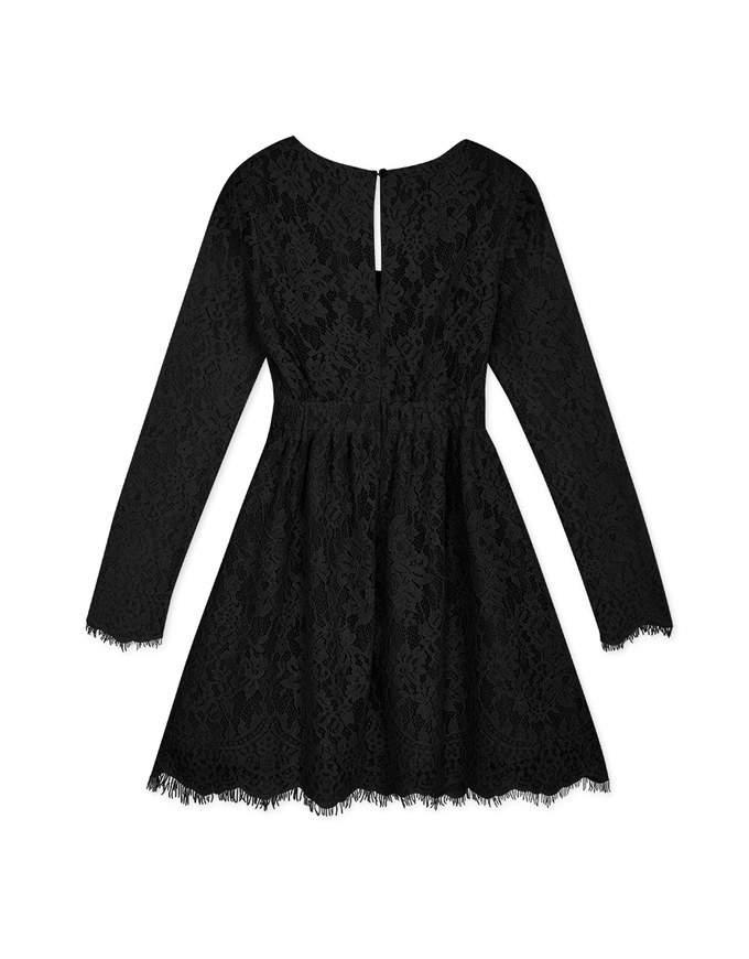 V-Neck Lace Translucent Mini Dress