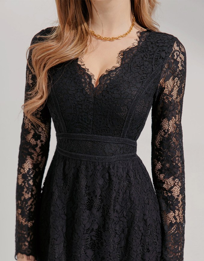 V-Neck Lace Translucent Mini Dress