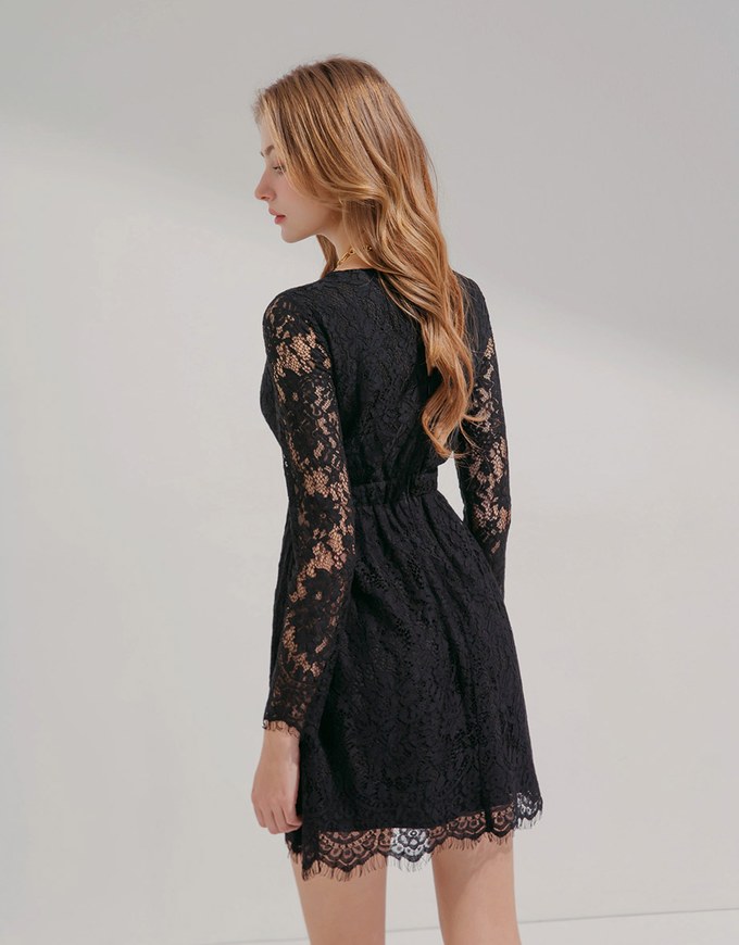 V-Neck Lace Translucent Mini Dress