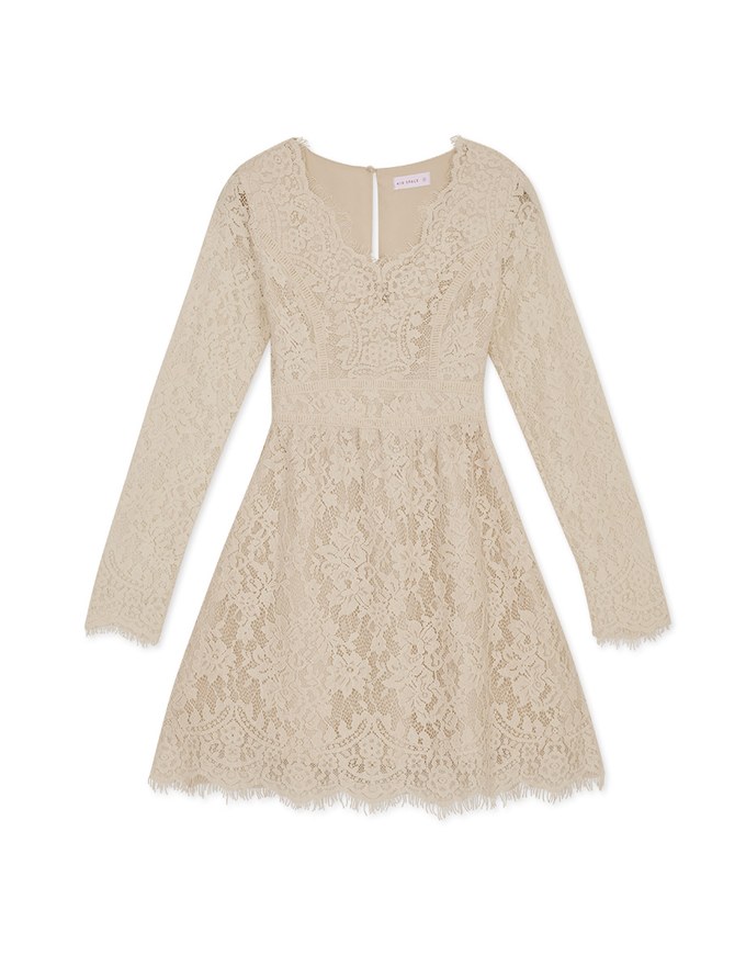 V-Neck Lace Translucent Mini Dress