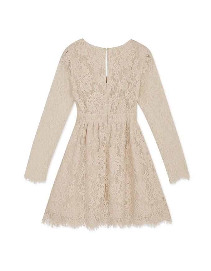 V-Neck Lace Translucent Mini Dress